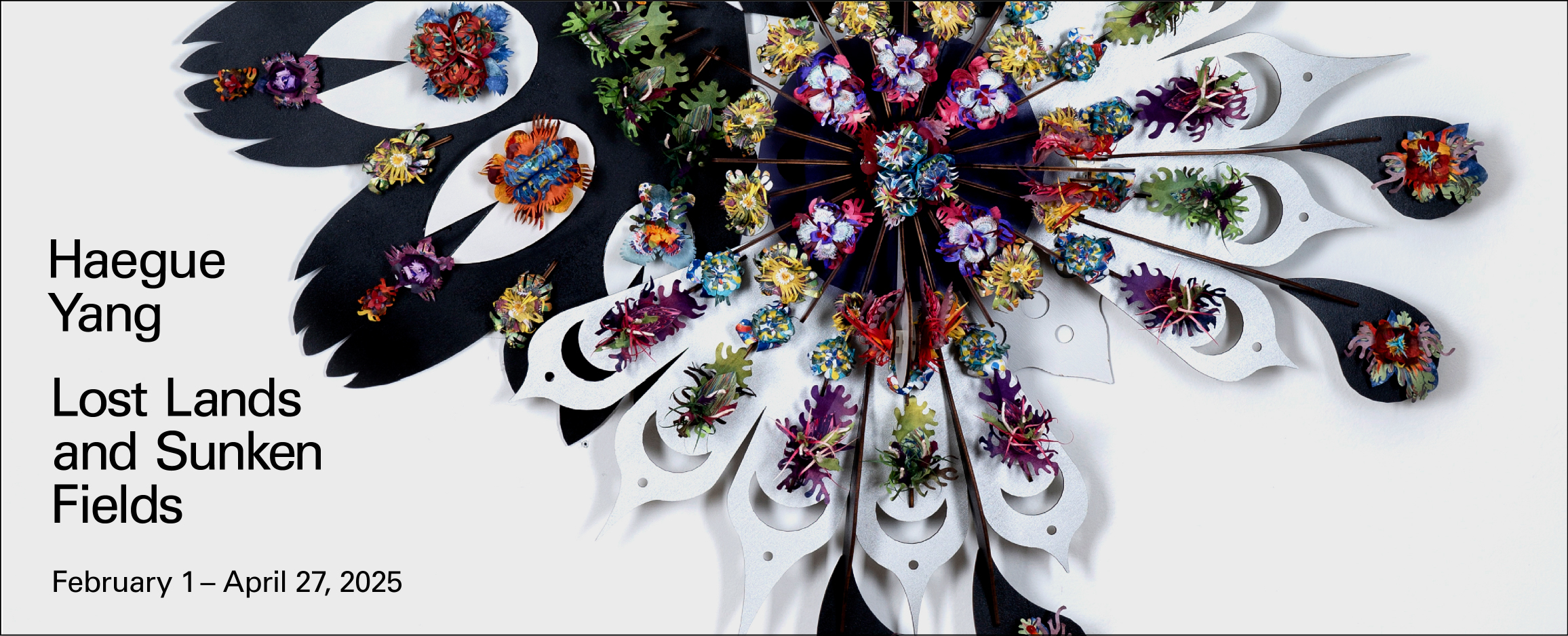 NSC25-HaegueYang-__1110 x 450 NSC site banner638724811911246754